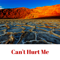 Can't-Hurt-Me