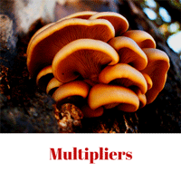Multipliers