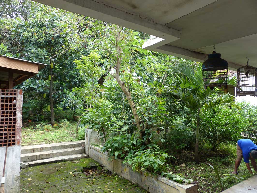 Halaman Belakang